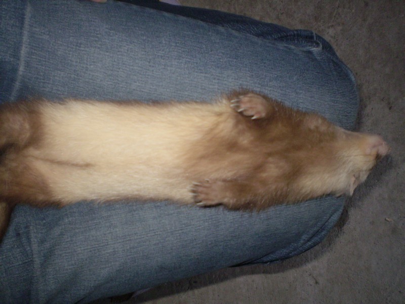 Pohodaaa:)