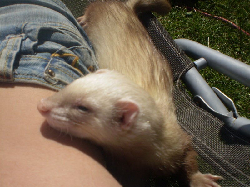 Slnenie:P